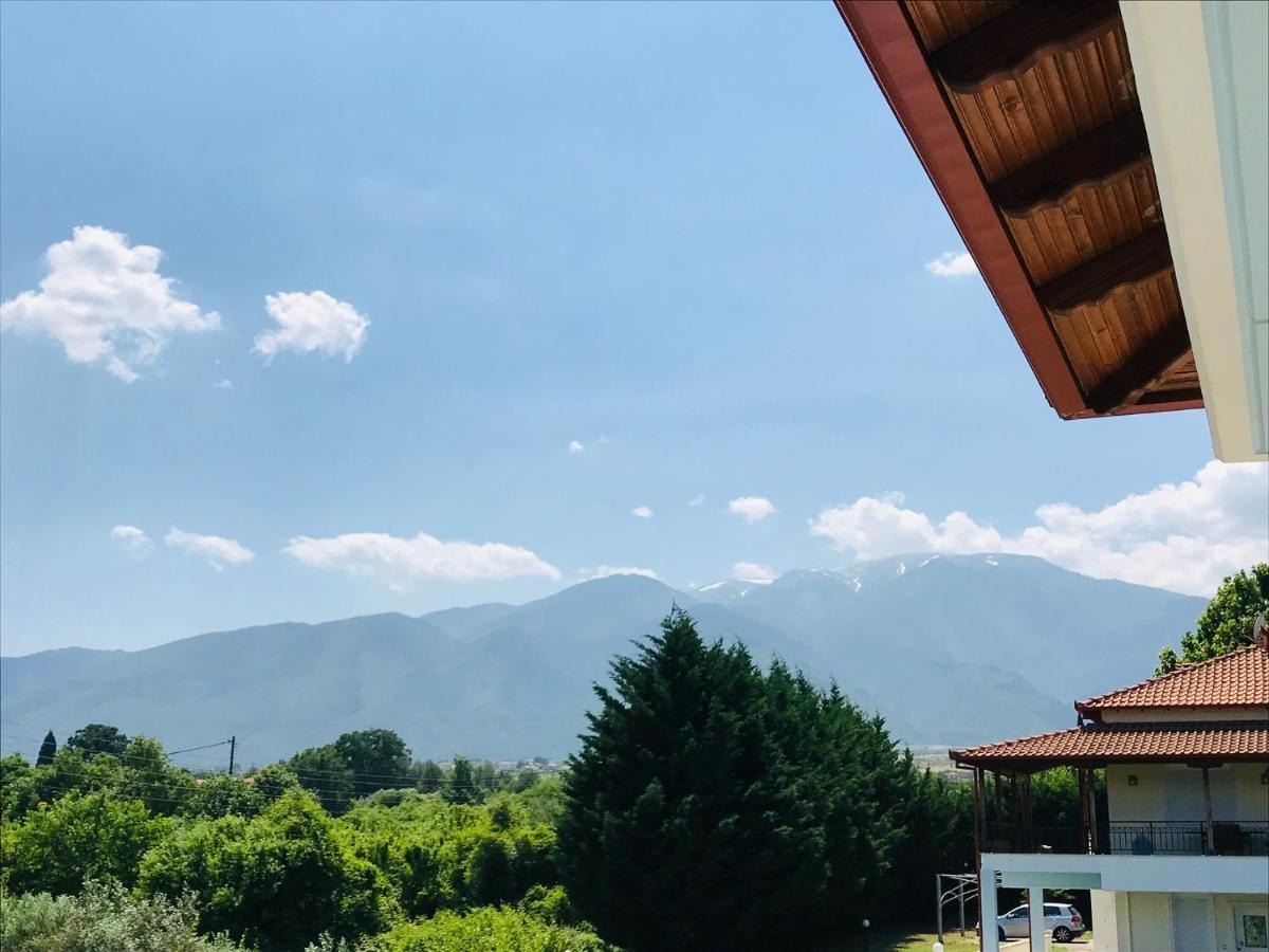 Dimeli Vila Litochoro Exterior foto
